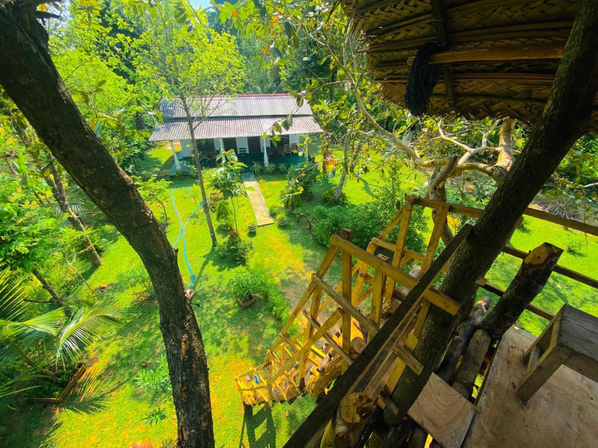 Lucky Villa Sigiriya Buitenkant foto