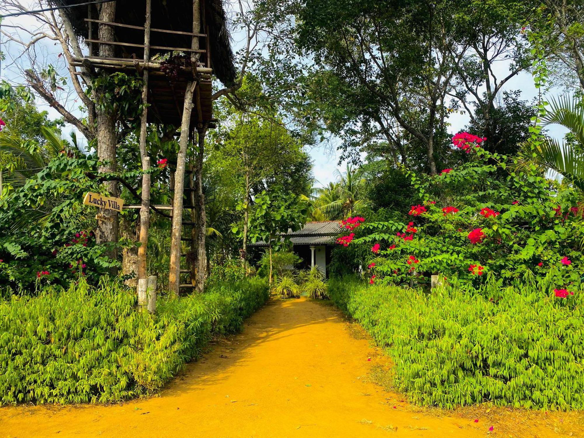 Lucky Villa Sigiriya Buitenkant foto
